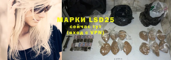 шишки Михайловск
