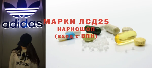 ГАЛЛЮЦИНОГЕННЫЕ ГРИБЫ Баксан