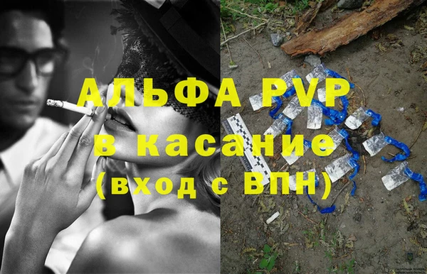 стаф Белокуриха