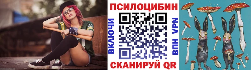 Купить где  Байкальск  Галлюциногенные грибы мицелий 